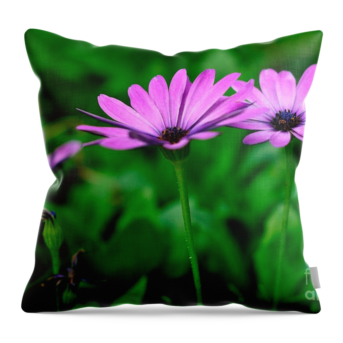 Purple Throw Pillow featuring the photograph Purple Flowers by Joe Ng