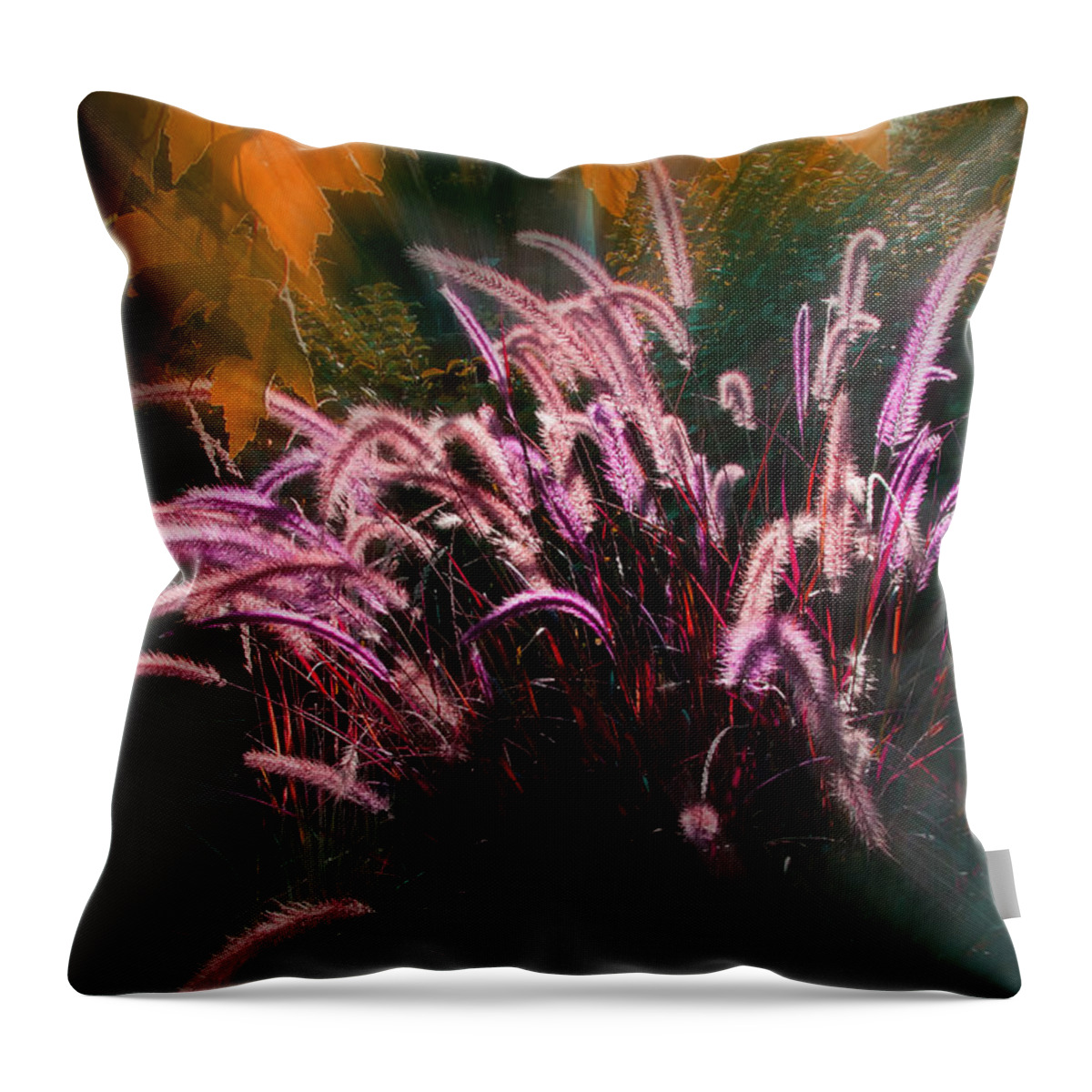 Purple Throw Pillow featuring the photograph Purple Fountain Grass Fantasy by Mick Anderson