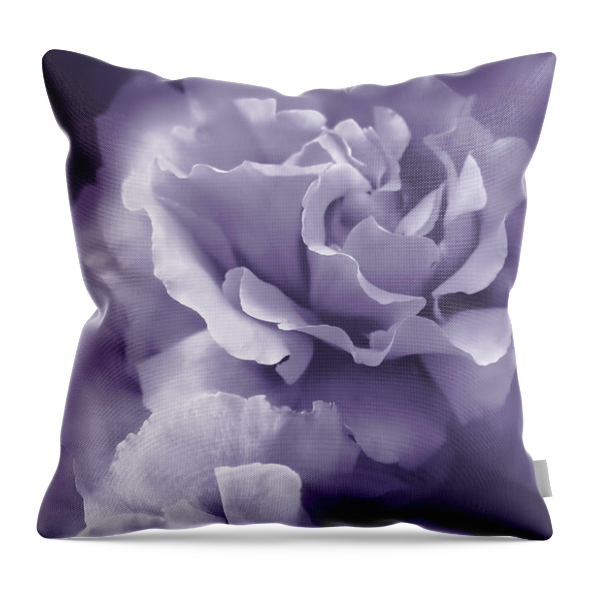 Rose Throw Pillow featuring the photograph Purple Lavender Roses by Jennie Marie Schell