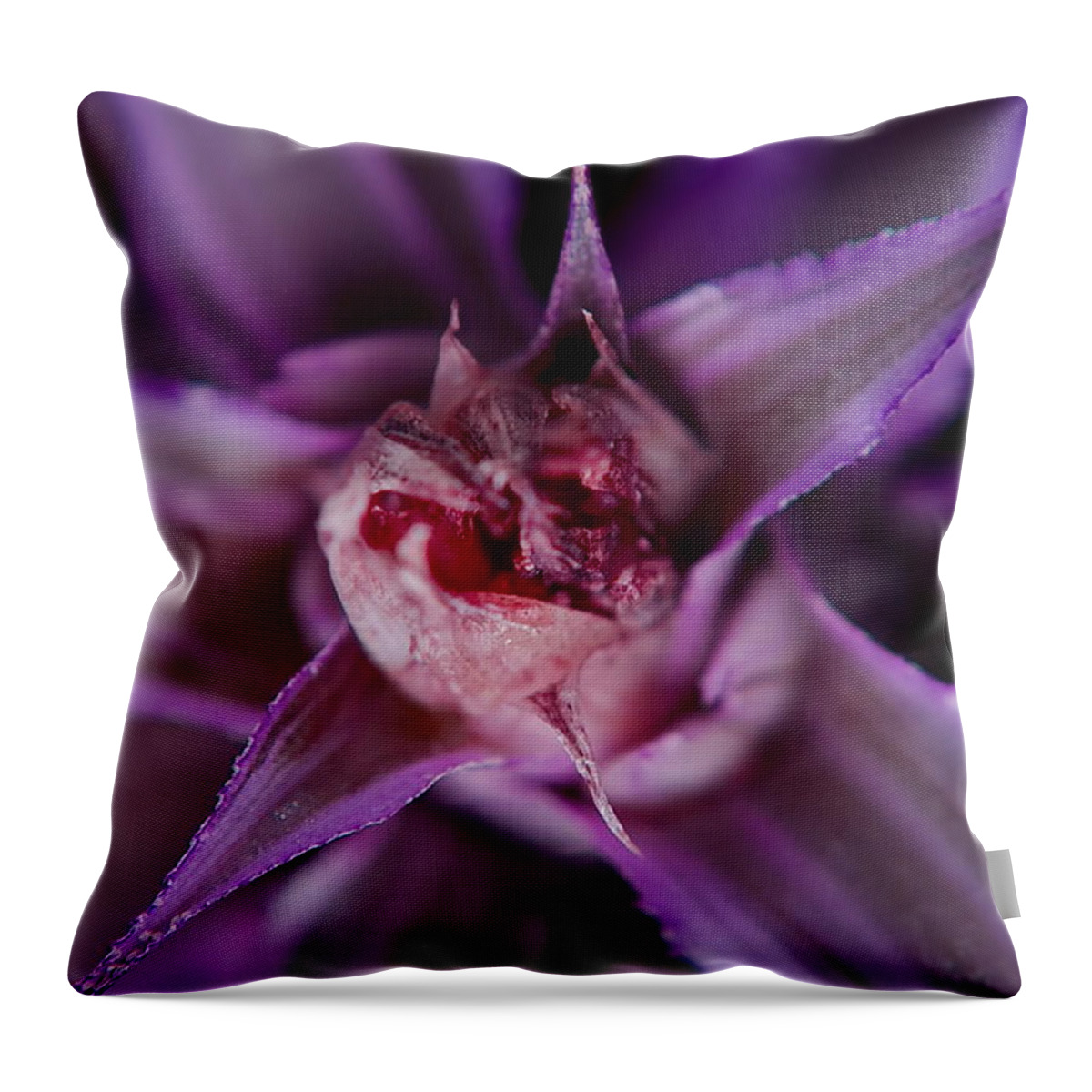 Leaf Throw Pillow featuring the photograph Purple Leaf by Michelle Meenawong