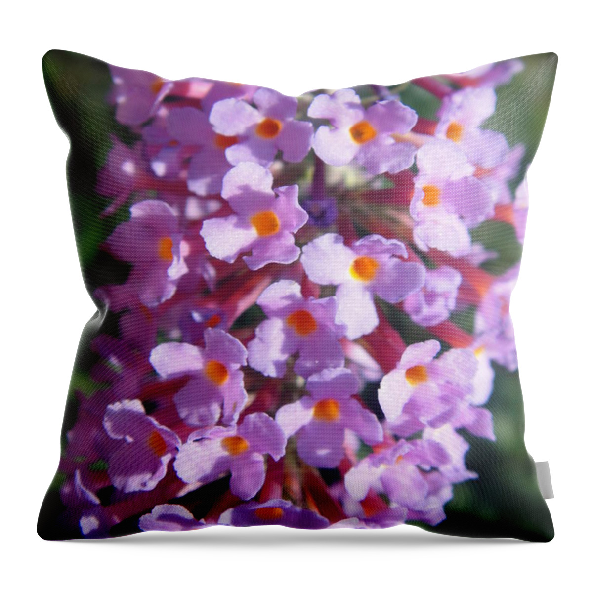 Lilac Throw Pillow featuring the photograph Purple lilac by Karin Ravasio