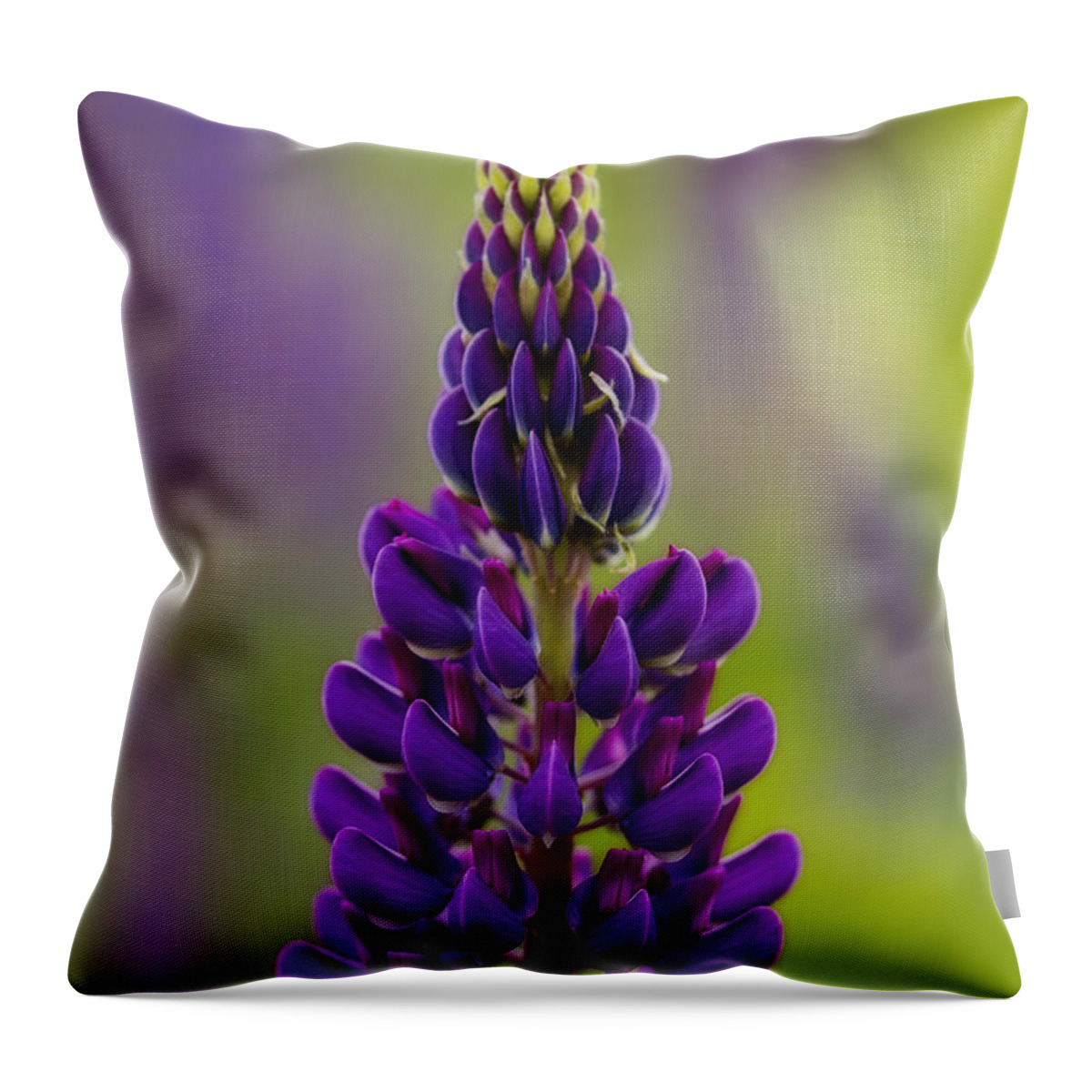 Lupine Throw Pillow featuring the photograph Purple Lupine by John Vose