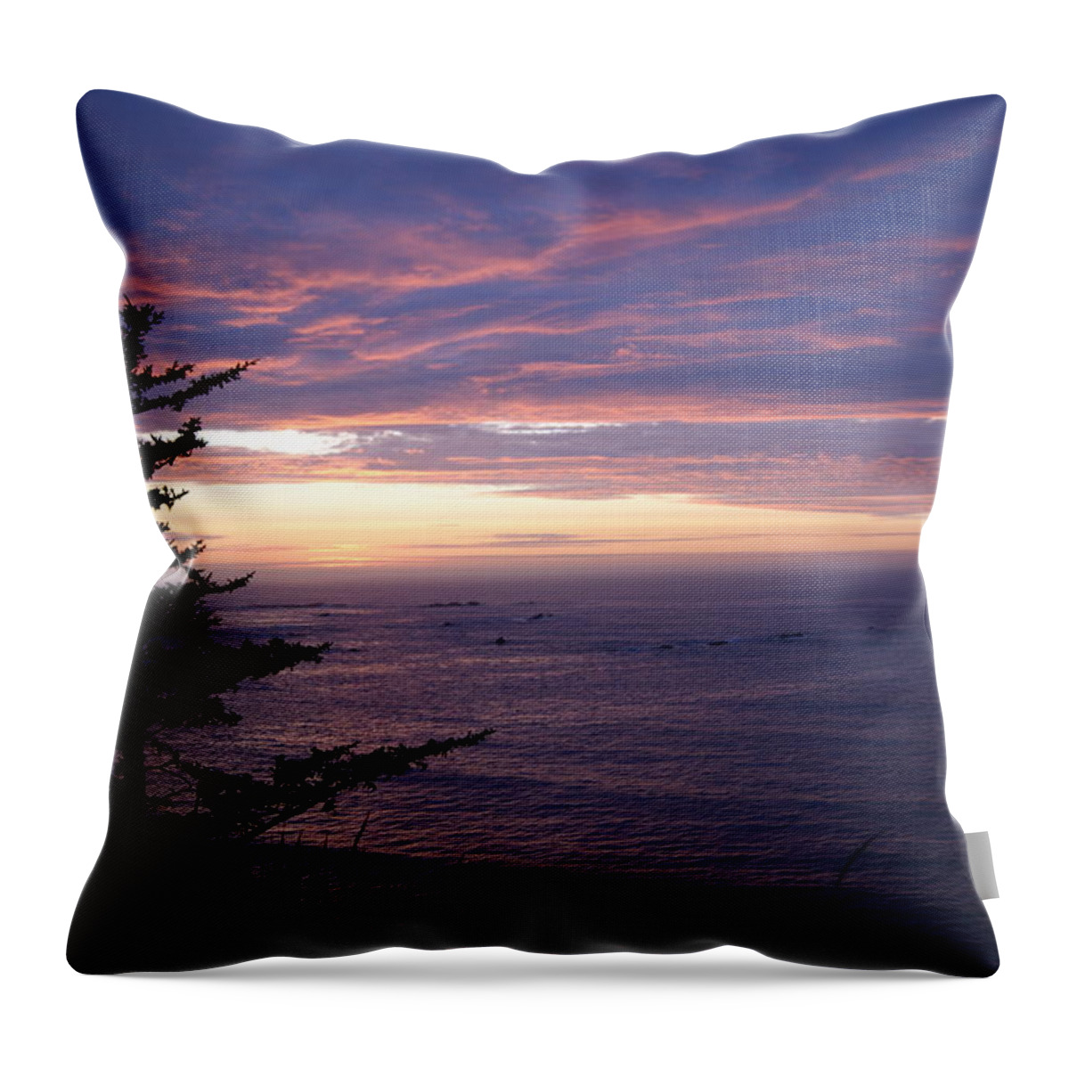 Sunset Throw Pillow featuring the photograph Purple Majesty by Beth Collins