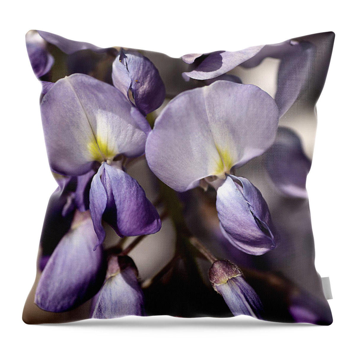 Wisteria Throw Pillow featuring the photograph Purple Of Wisteria by Joy Watson