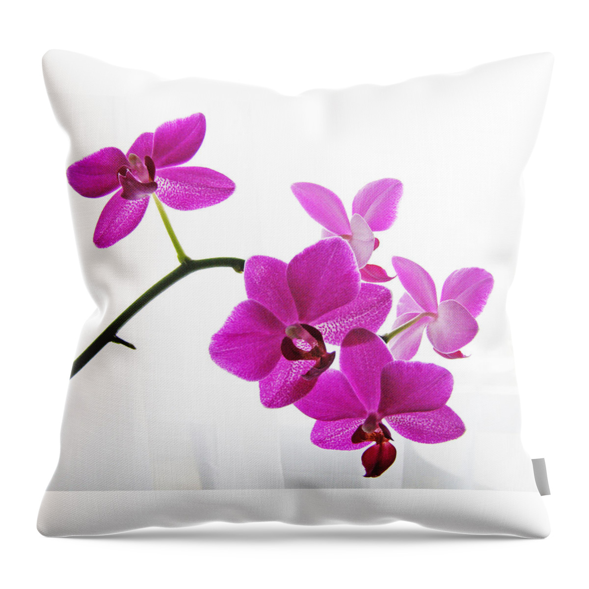 Orchid Throw Pillow featuring the digital art purple orchids II by Jane Schnetlage