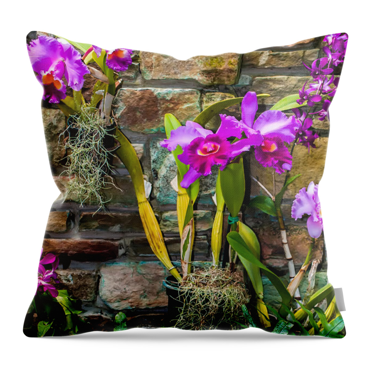 Spa Throw Pillow featuring the photograph Purple Orchids With Cultured Stone Background by Alex Grichenko