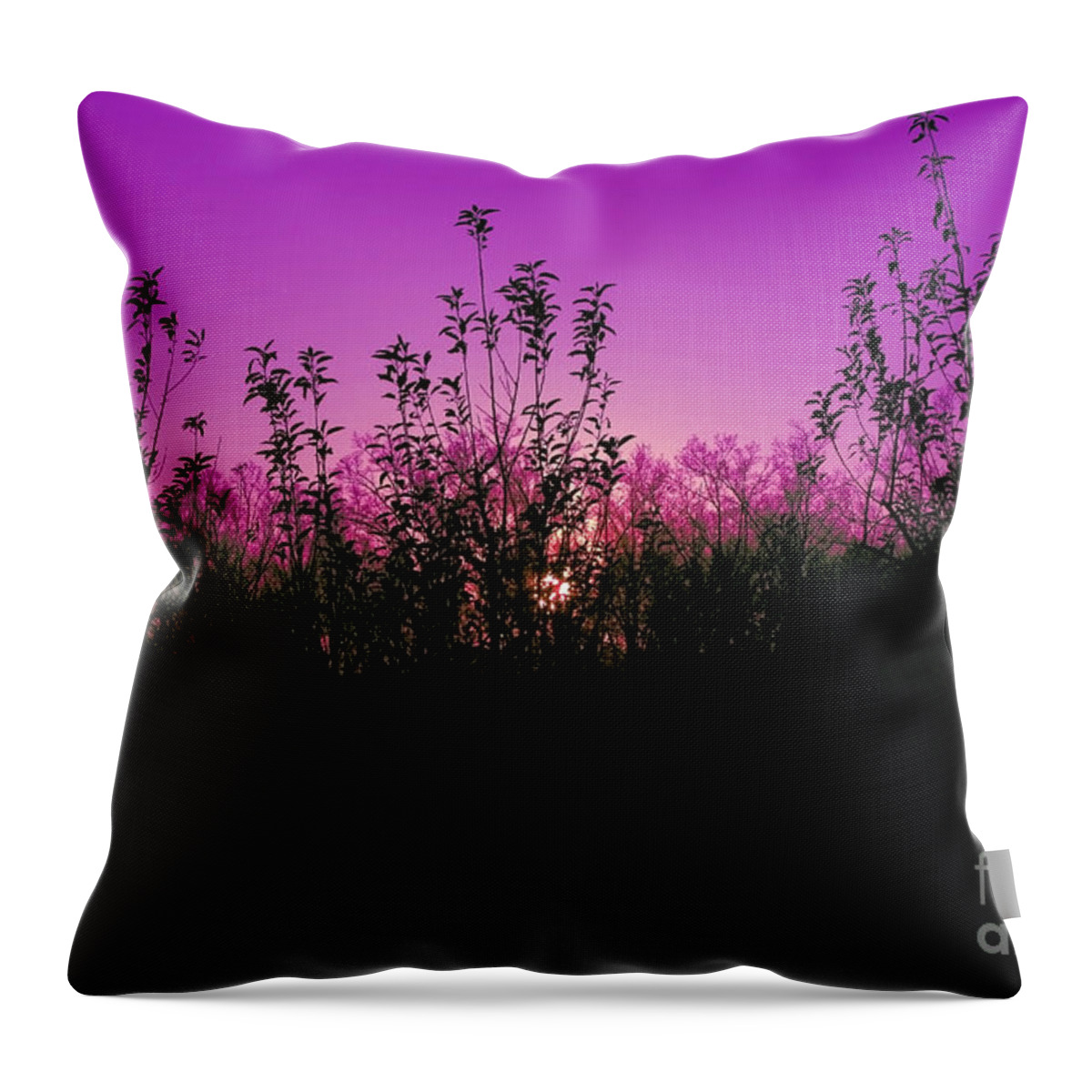 Purple Throw Pillow featuring the photograph Purple Paradise Sunset by Diana Sainz by Diana Raquel Sainz