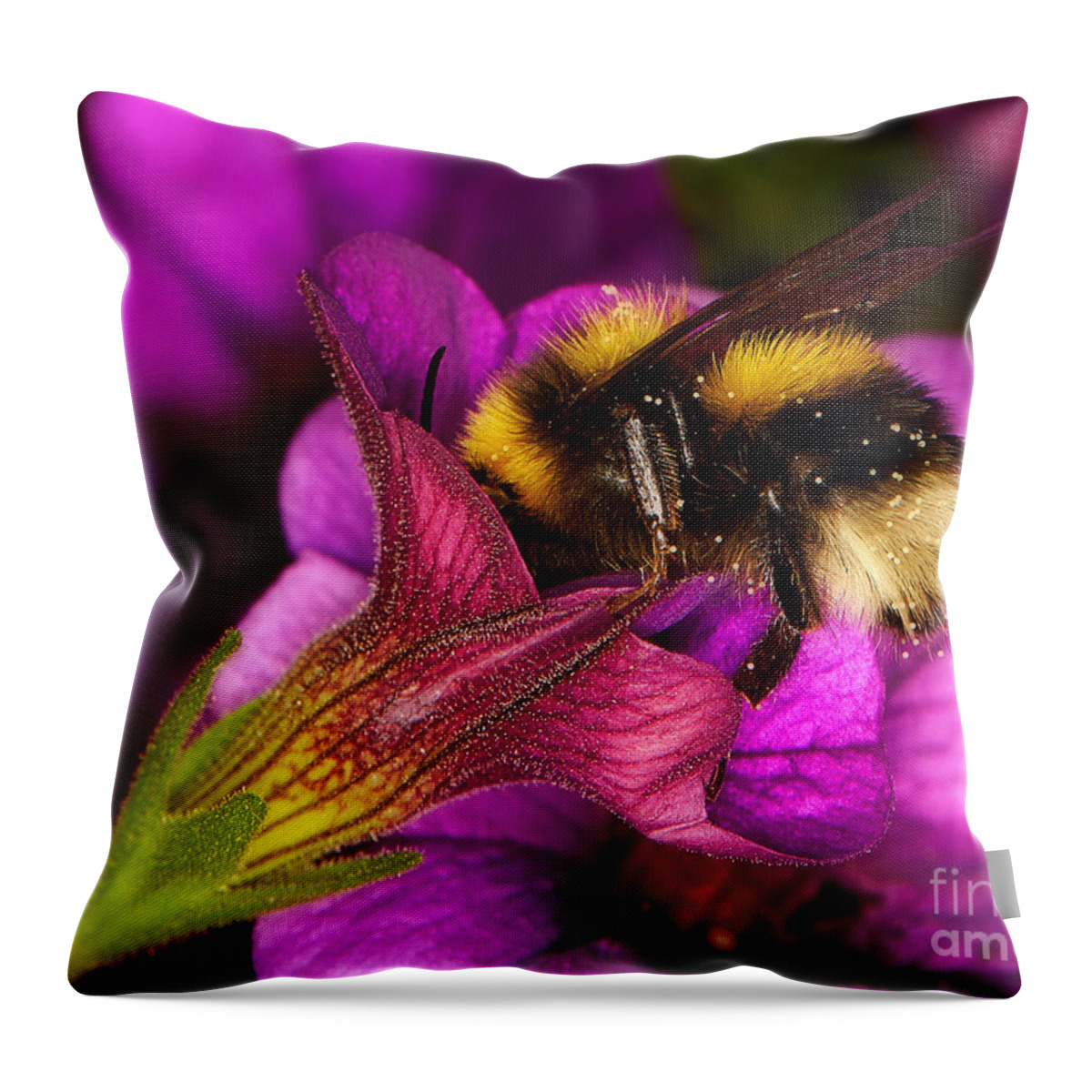 Purple Throw Pillow featuring the photograph Purple petunias with a bumblebee by Nick Biemans
