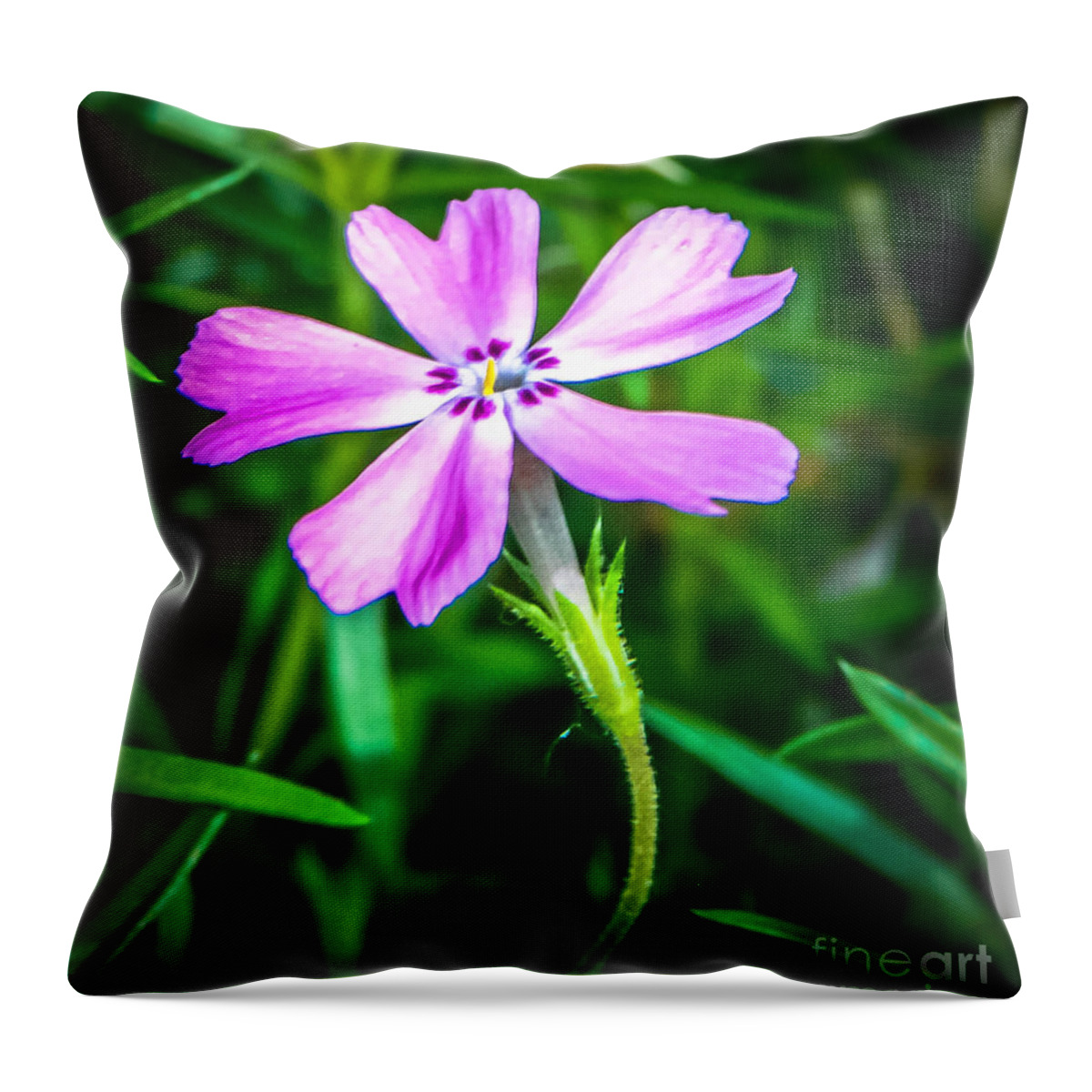 Eaton Rapids Throw Pillow featuring the photograph Purple Pinwheel by Grace Grogan