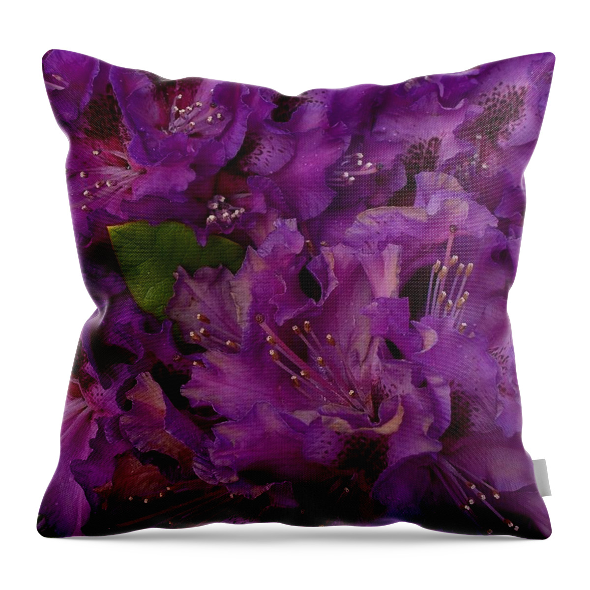 Rhododendron Throw Pillow featuring the photograph Purple Splendor by Evelyn Tambour