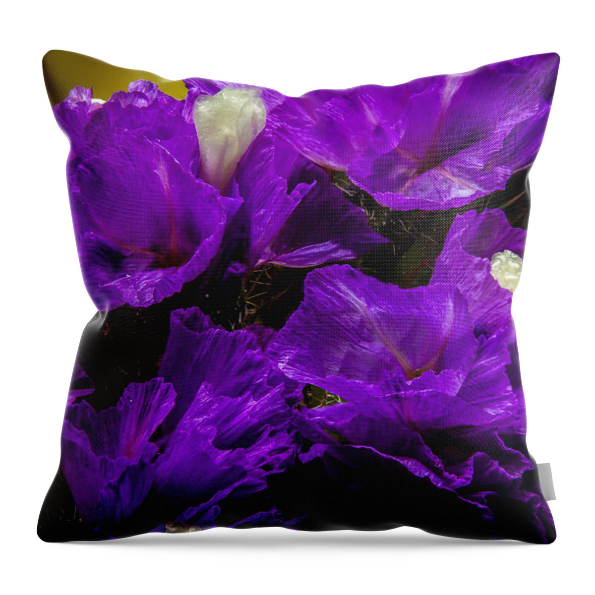Flower Throw Pillow featuring the photograph Purple Statice by Ron Pate