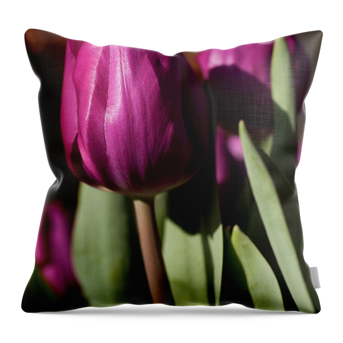 Purple Throw Pillow featuring the photograph Purple Tulip by Caroyl La Barge