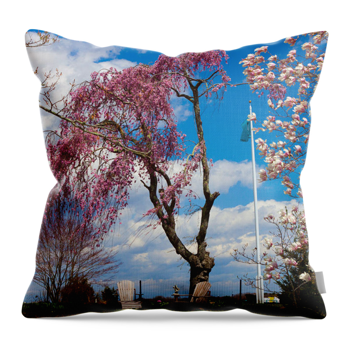 Weeping Willow Throw Pillow featuring the photograph Pink Weeping Willow Tree by Kirkodd Photography Of New England