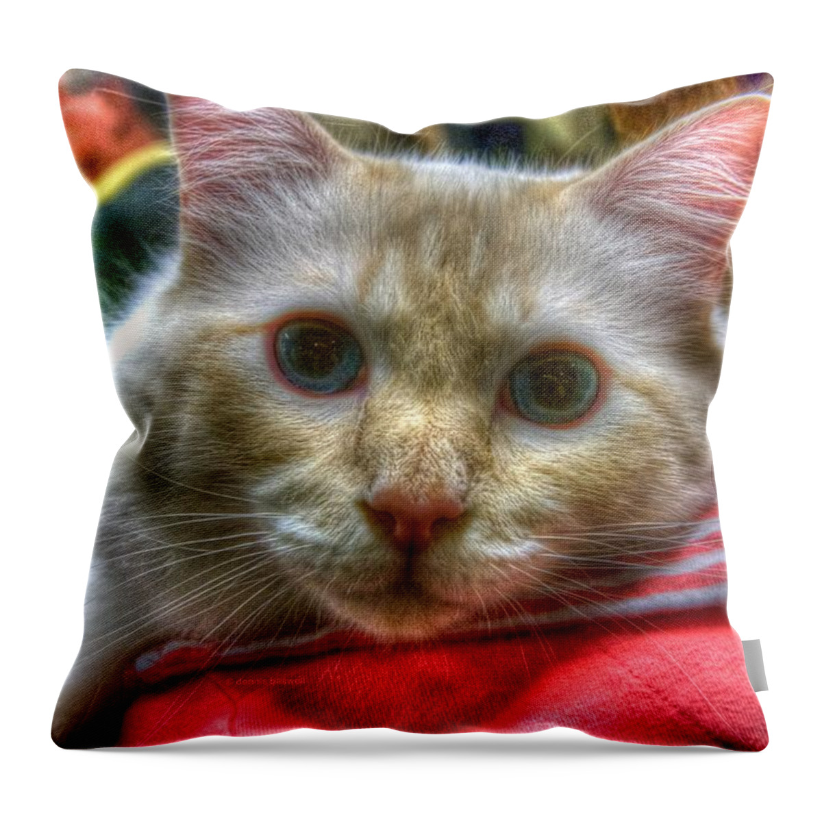 Showcat Throw Pillow featuring the photograph Purrfect companion by Dennis Baswell