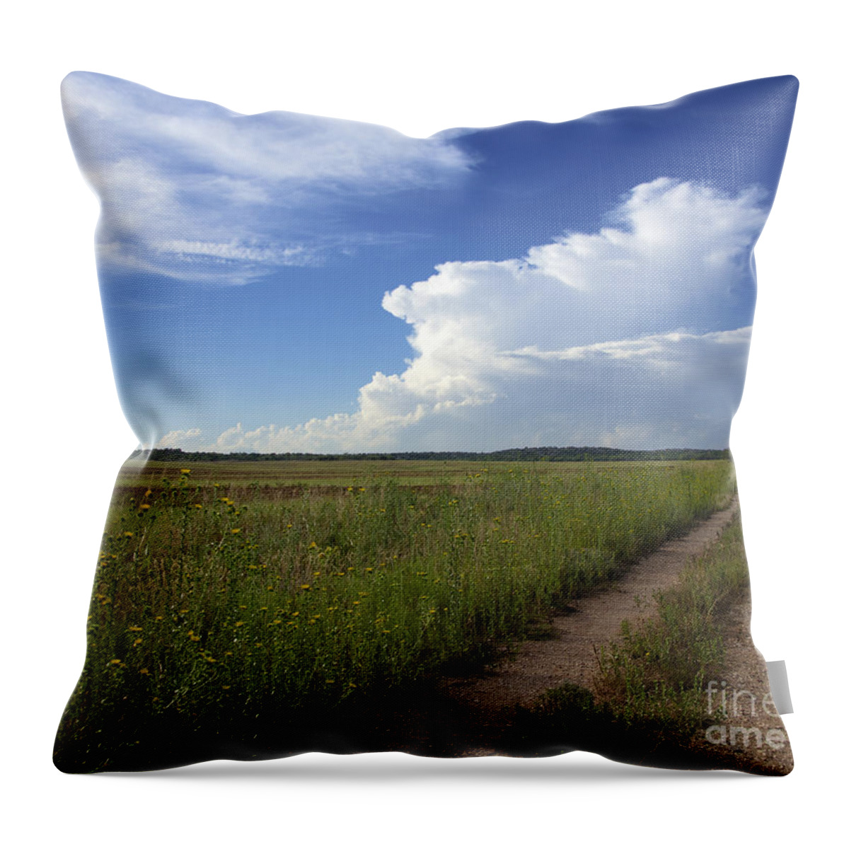 Ryan Smith Throw Pillow featuring the photograph Pushing Forward by Ryan Smith
