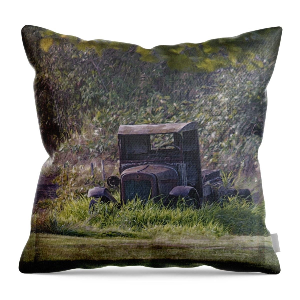 Put Out To Pasture Throw Pillow featuring the photograph Put Out To Pasture by Jordan Blackstone