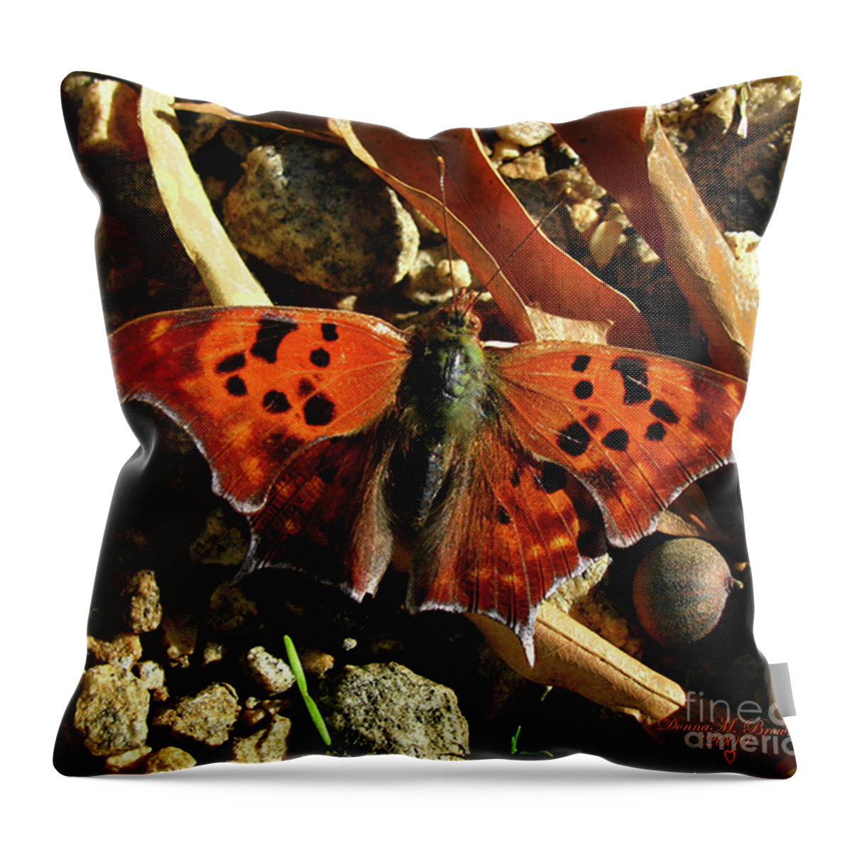 Butterfly Throw Pillow featuring the photograph Question Mark Butterfly by Donna Brown