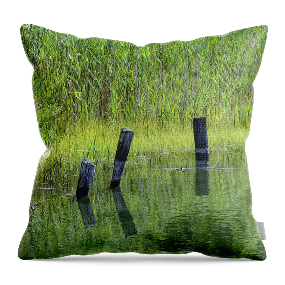 America Throw Pillow featuring the photograph Quiet green waters Connecticut saltwater marsh by Marianne Campolongo