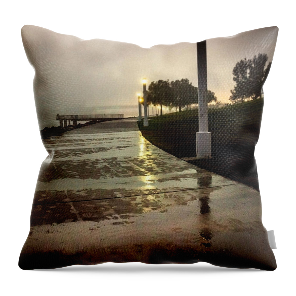 Coast Living Throw Pillow featuring the photograph Quiet Stroll by Denise Dube