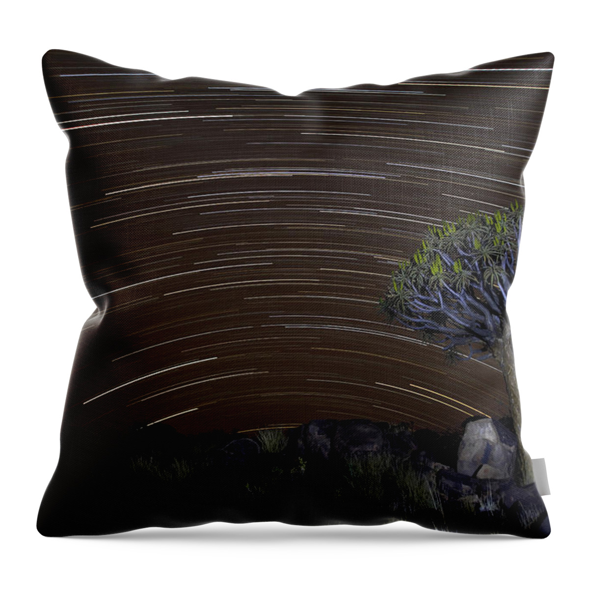 Vincent Grafhorst Throw Pillow featuring the photograph Quiver Tree And Star Trails by Vincent Grafhorst