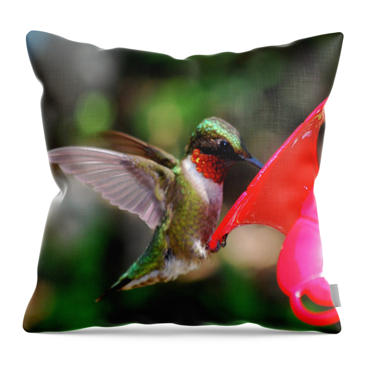 Hummingbird Throw Pillow featuring the photograph Radiant Ruby by Lori Tambakis
