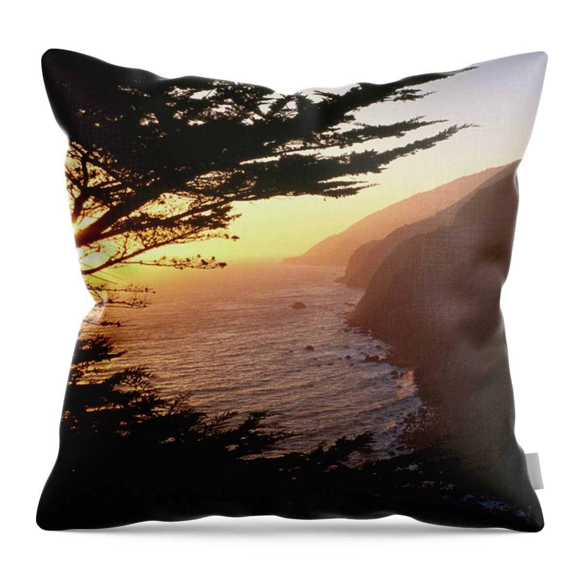 Forecasting Throw Pillow featuring the photograph Ragged Point Outlook On Highway One by Holger Leue