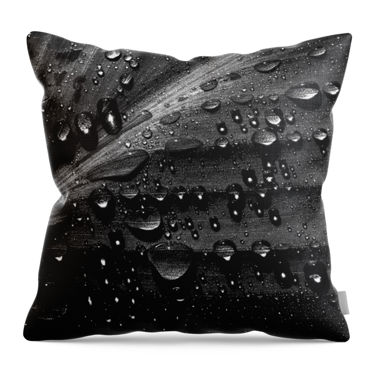 Rain Throw Pillow featuring the photograph Rain by Bob Orsillo