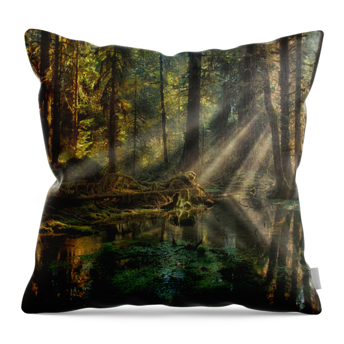 Rain Forest Throw Pillow featuring the photograph Rain Forest Sunbeams by Mary Jo Allen