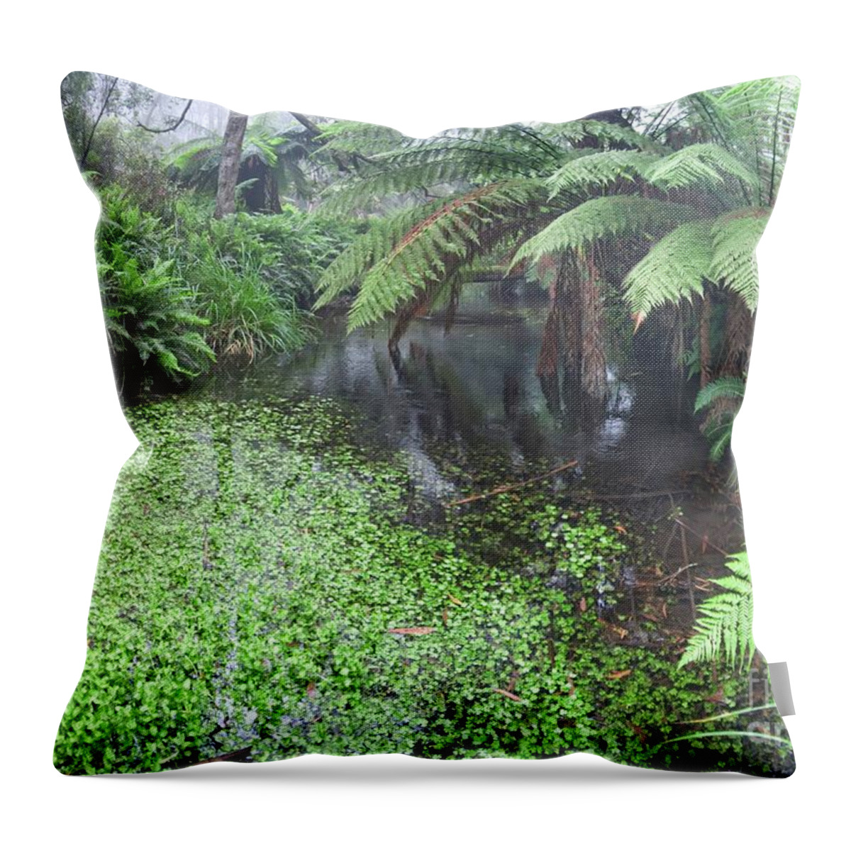 Rain Forest Throw Pillow featuring the photograph Rain Forests A A by Peter Kneen