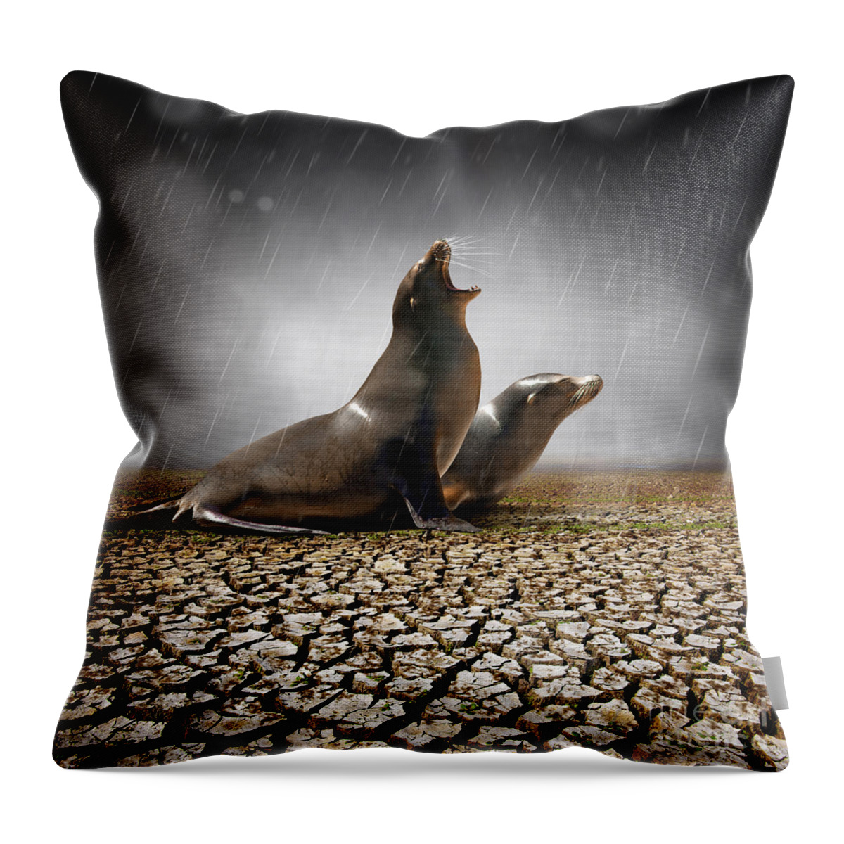 Animal Throw Pillow featuring the photograph Rain Relief by Carlos Caetano