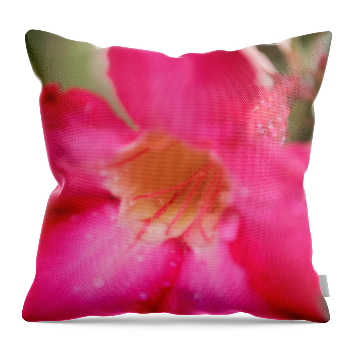 Tropic Throw Pillow featuring the photograph Rain Season by Miguel Winterpacht