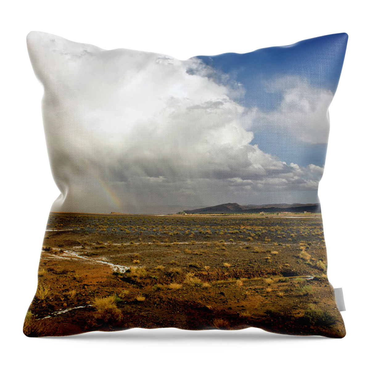 Scenics Throw Pillow featuring the photograph Rainbow After Storm In Moroccan Desert by Pavliha