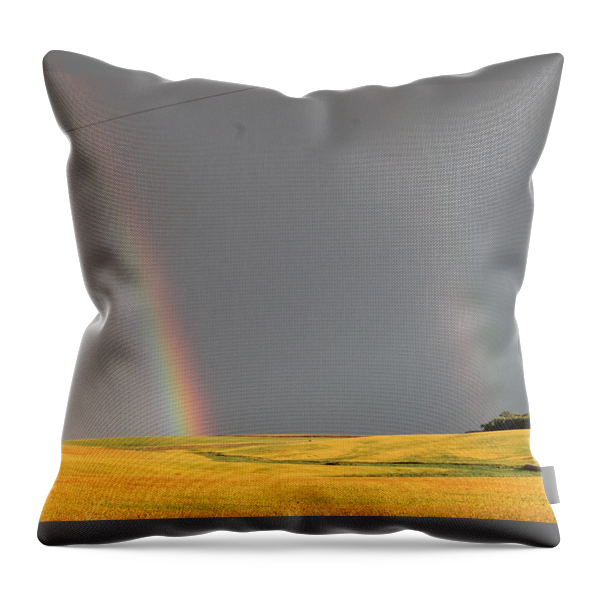 Landscape Throw Pillow featuring the photograph Rainbow and Beanfield by Wayne Williams