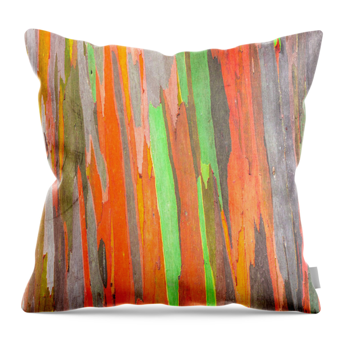Abstract Throw Pillow featuring the photograph Rainbow Eucalyptus 2 by Leigh Anne Meeks