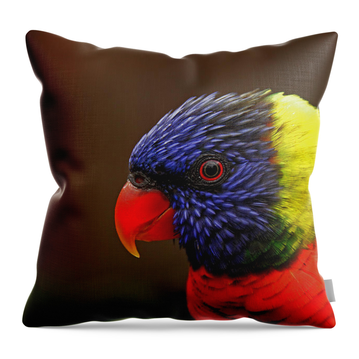 Australia Throw Pillow featuring the photograph Rainbow Lorikeet by Andy Lawless