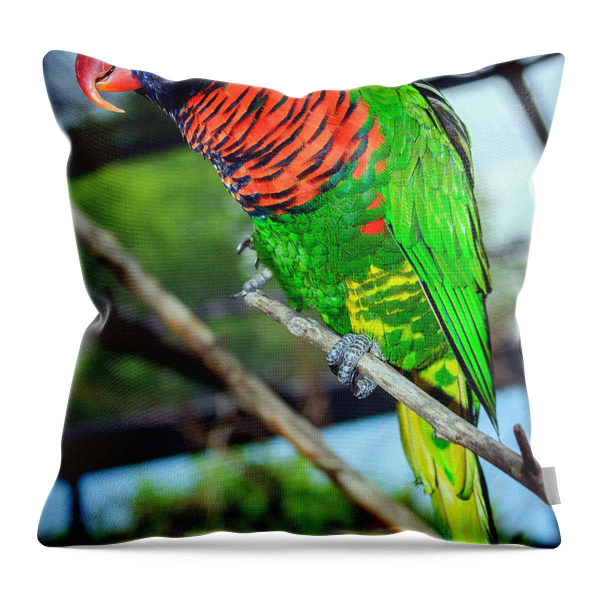 Rainbow Lory Throw Pillow featuring the photograph Rainbow Lory by Sennie Pierson