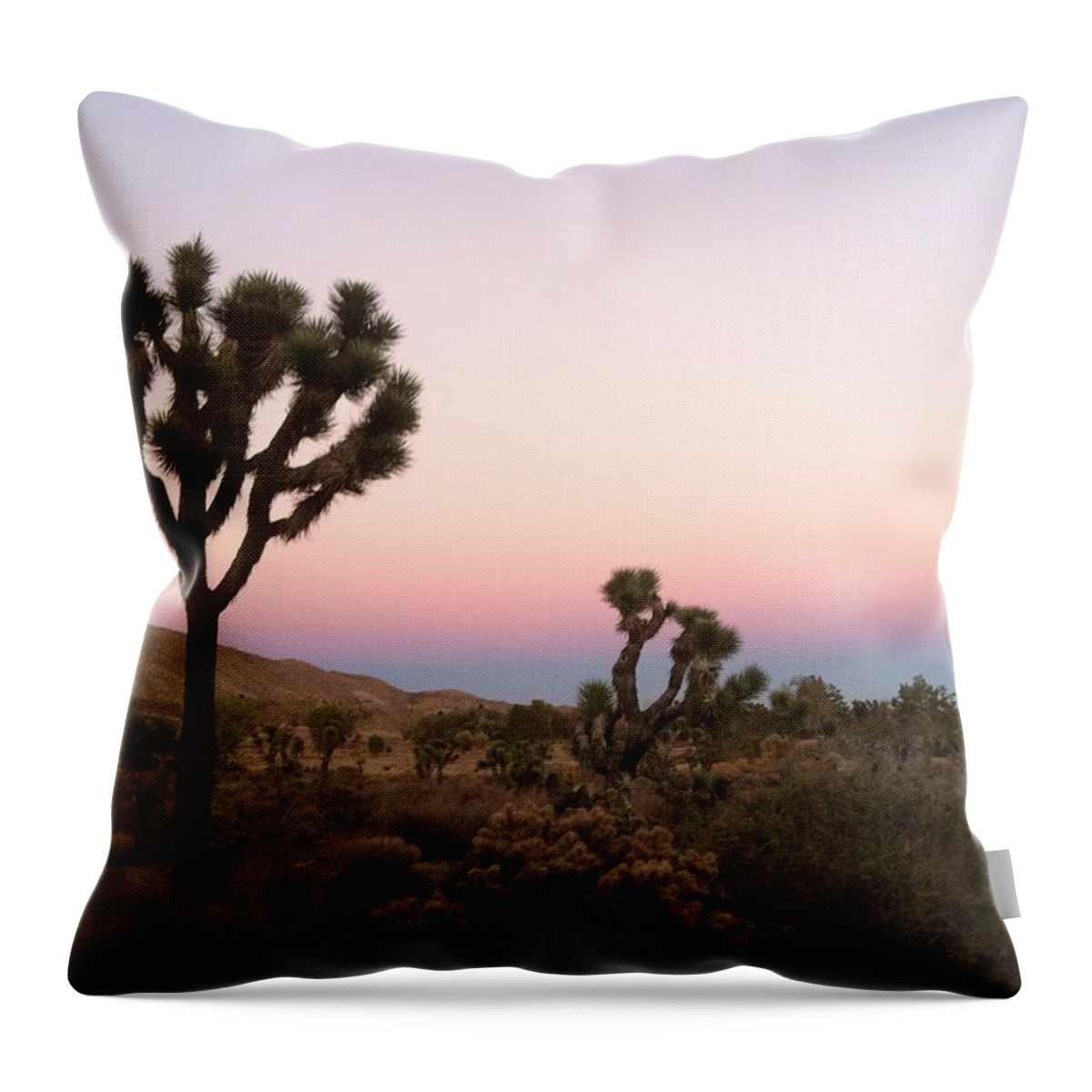 High Desert Throw Pillow featuring the photograph Rainbow Morning by Angela J Wright