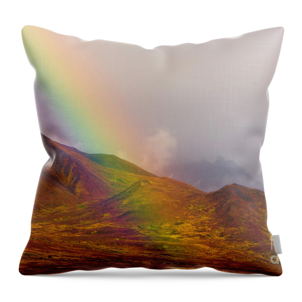 00431055 Throw Pillow featuring the photograph Rainbow Over Fall Tundra in Denali by Yva Momatiuk John Eastcott