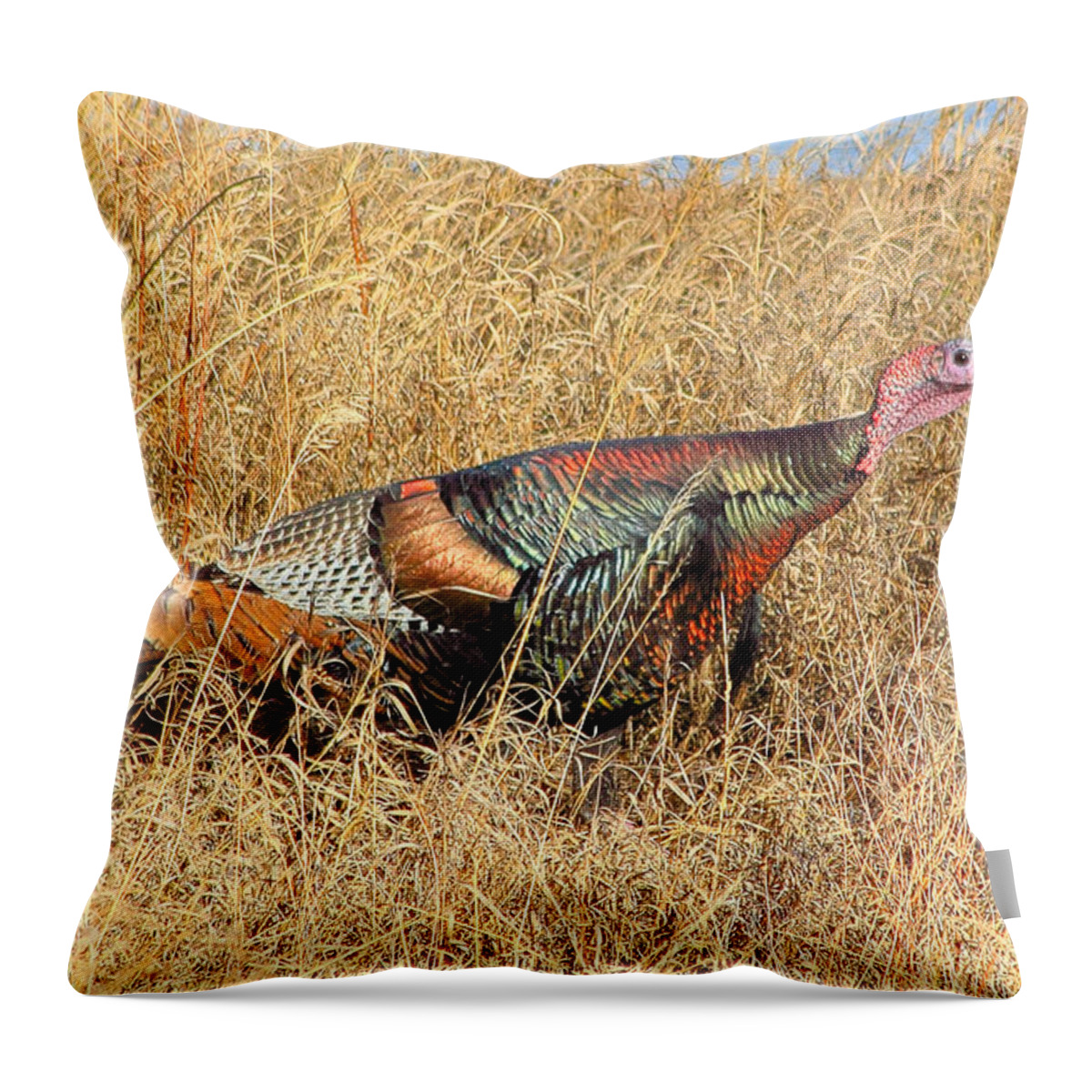 Turkey Throw Pillow featuring the photograph Rainbow Turkey by Shane Bechler
