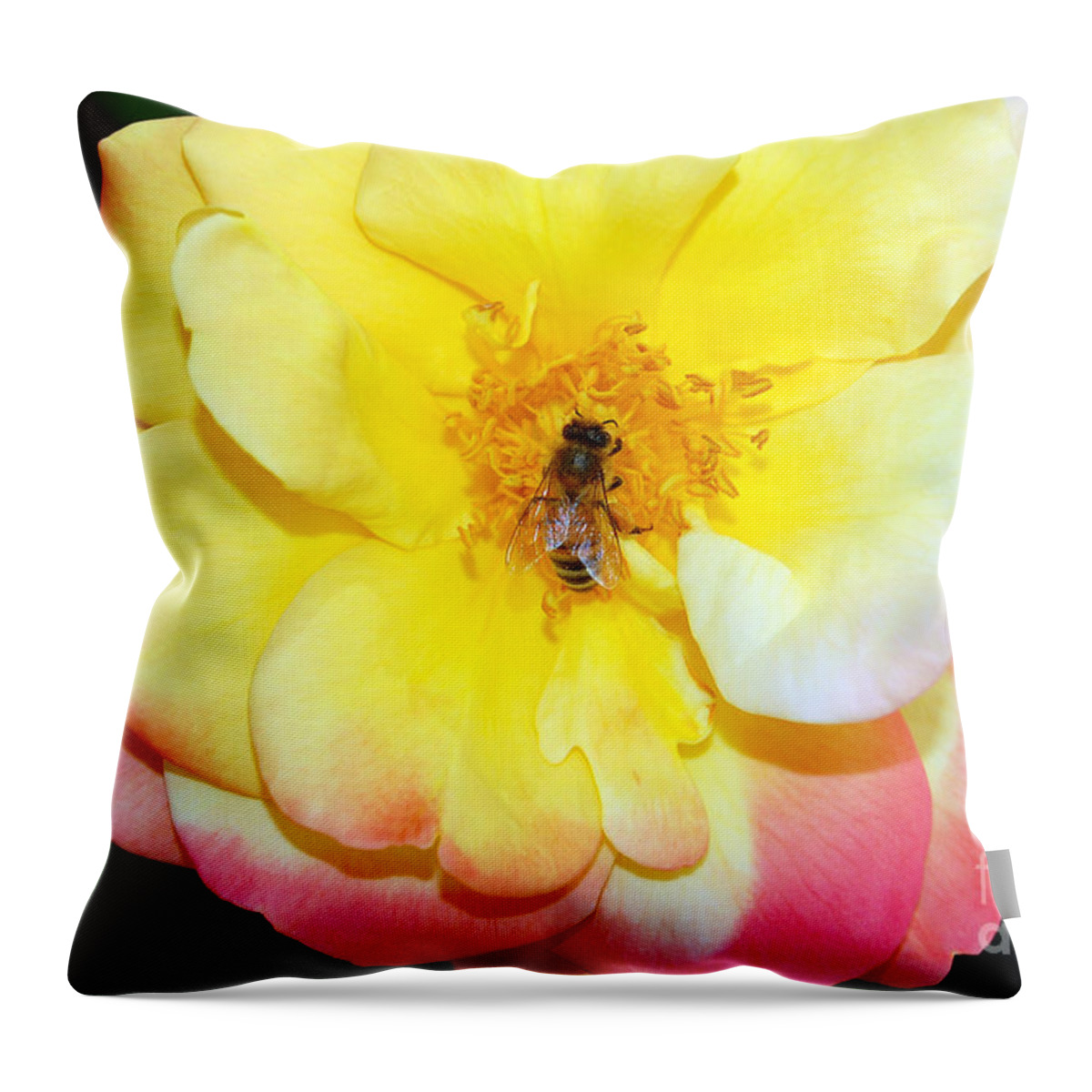 Bee Throw Pillow featuring the photograph Rainbow Wings by Debra Thompson