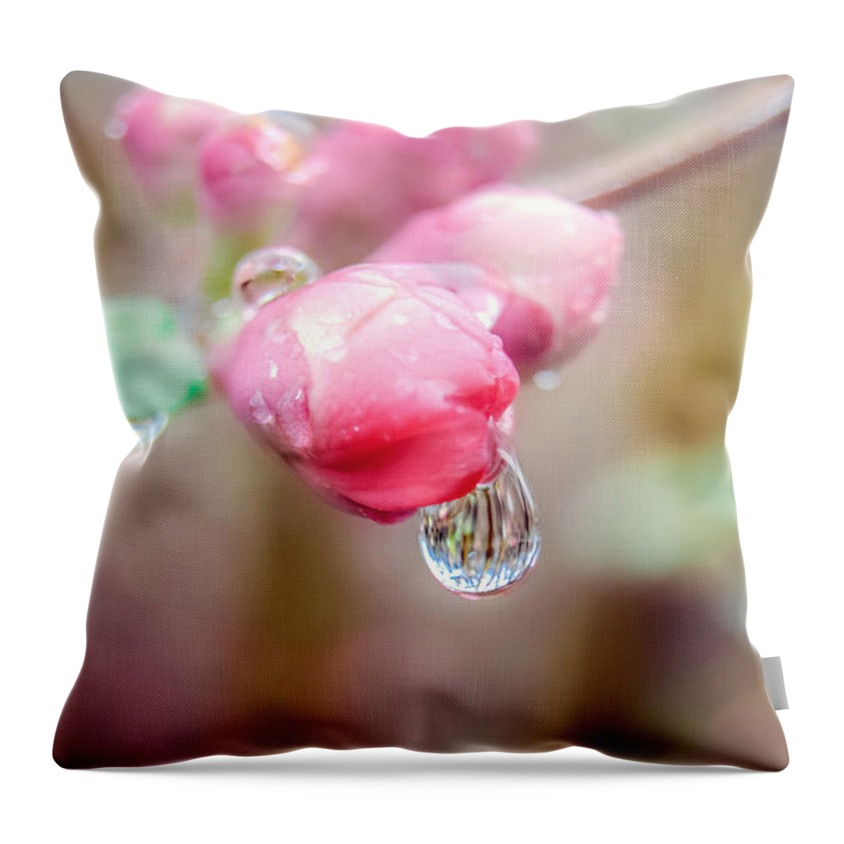  Water Drop On Flower Throw Pillow featuring the photograph Raindrops on Pink Beauty by Peggy Franz