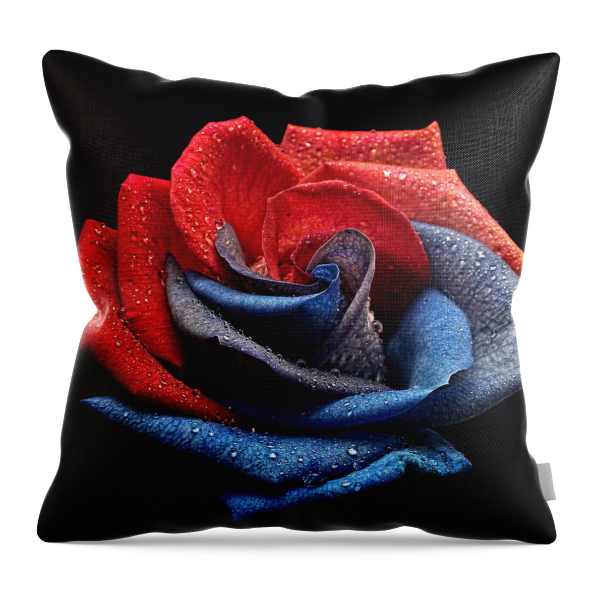 Rose Throw Pillow featuring the photograph Raindrops on Rose by Judy Vincent