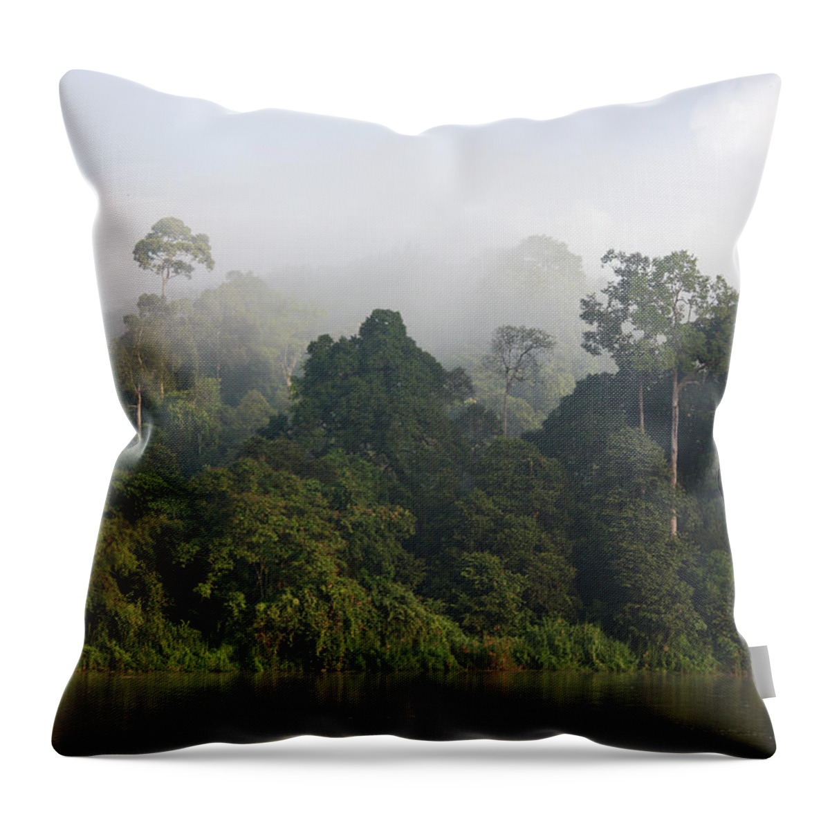 Feb0514 Throw Pillow featuring the photograph Rainforest Along The Kinabatangan River by Hiroya Minakuchi