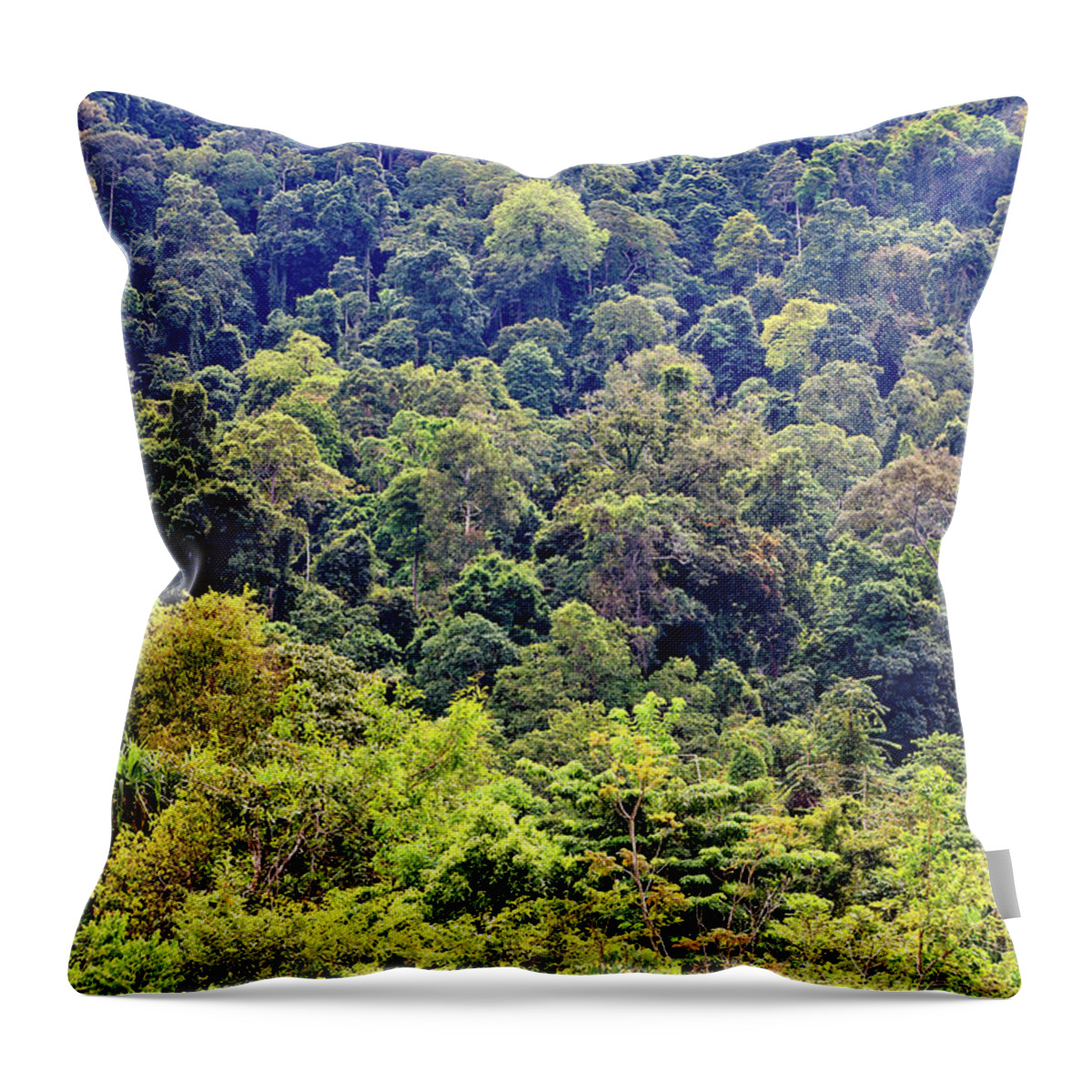 Tropical Rainforest Throw Pillow featuring the photograph Rainforest by Fredfroese