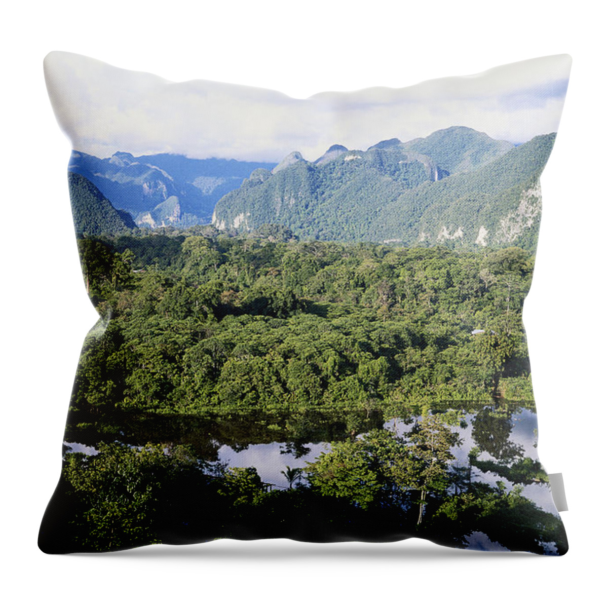 Asian Forest Throw Pillow featuring the photograph Rainforest In Sarawak, Borneo by Simon D. Pollard