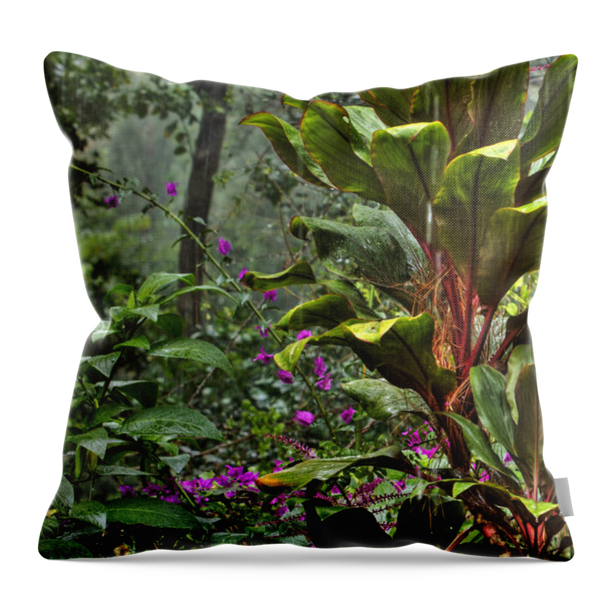 Panama Landscape Art Throw Pillow featuring the photograph Rainforest by Kandy Hurley