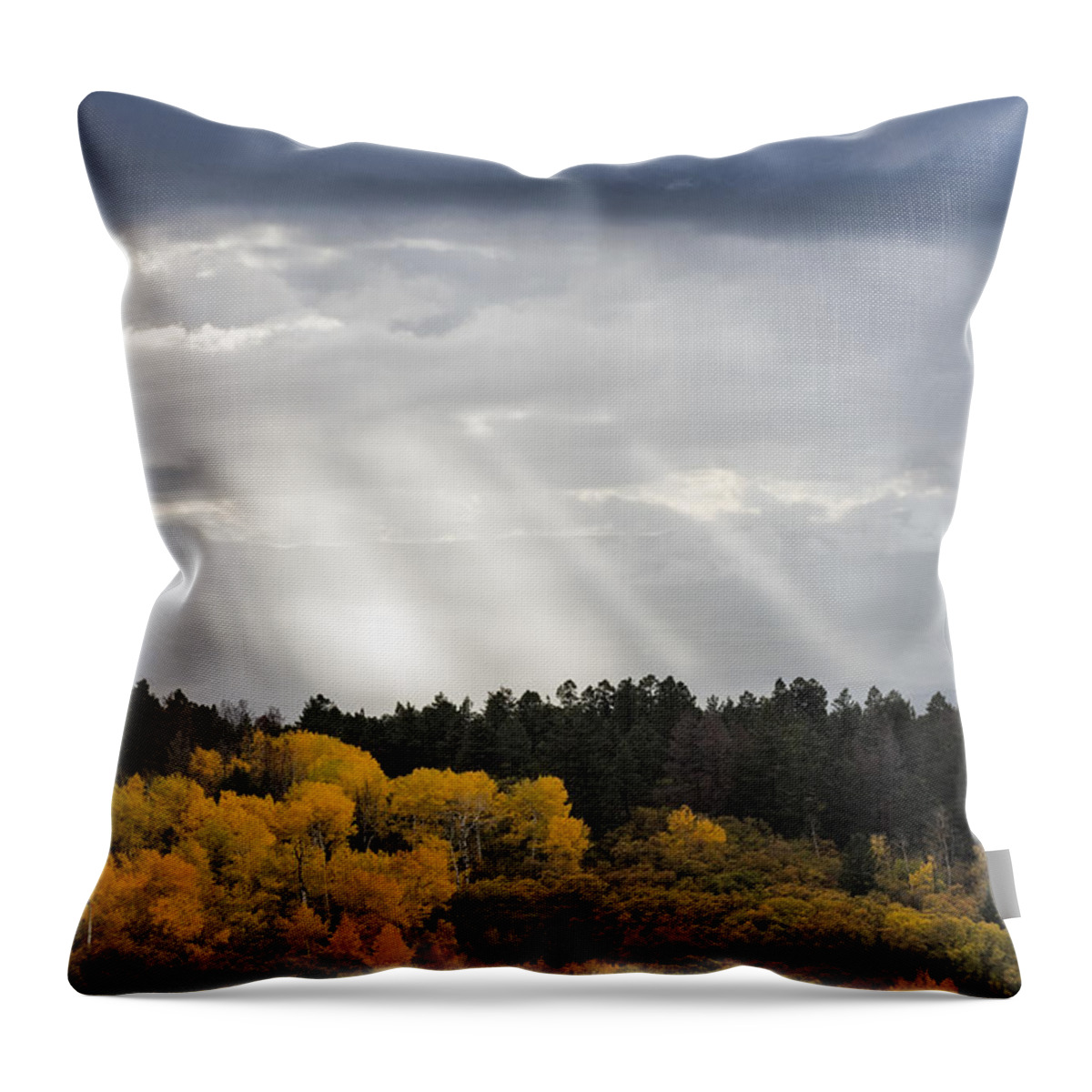 America Throw Pillow featuring the photograph Rainstorm And Autumn Quaking Aspens by John Shaw