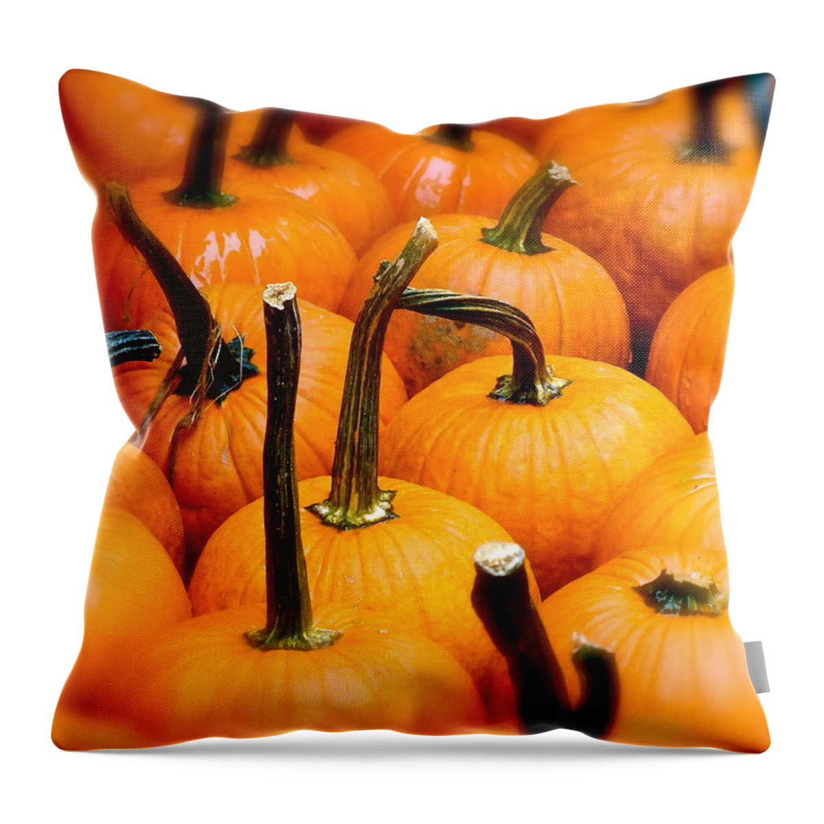 Pumpkins Throw Pillow featuring the photograph Rainy Day Pumpkins by Ira Shander