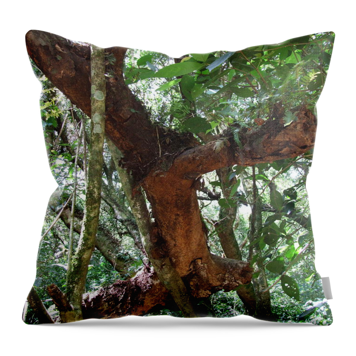 Flower Throw Pillow featuring the photograph Rama by Rebeca Segura