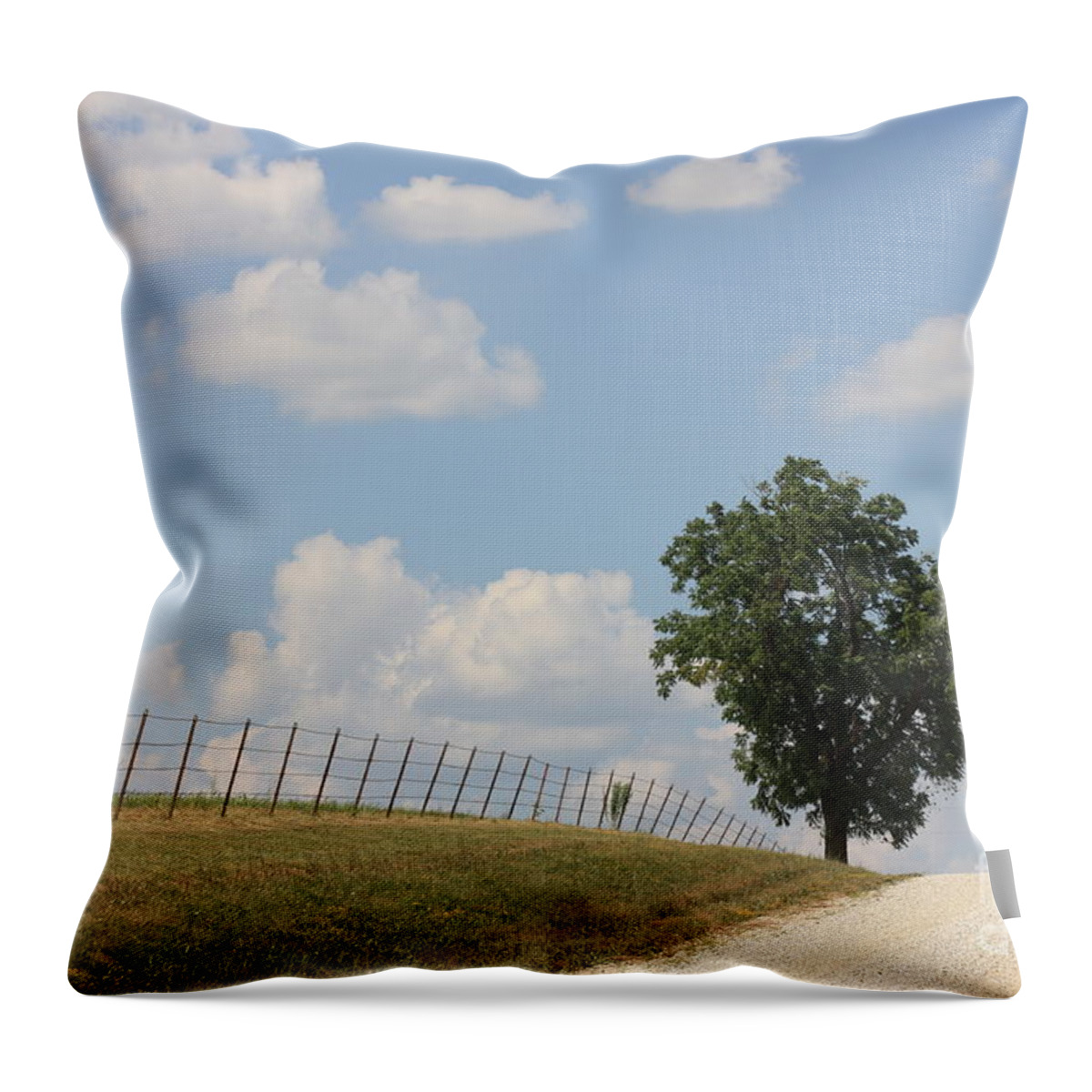 Randolph County Throw Pillow featuring the photograph Randolph County by Kathryn Cornett